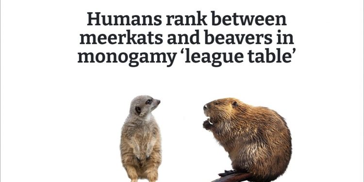 평생 한짝? 포유류 1위는 ‘캘리포니아쥐’…인간은 7위