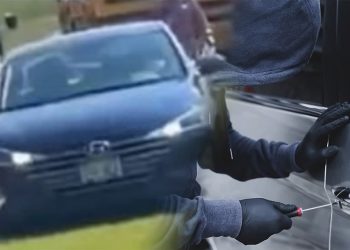 앨라배마서 ‘기아 챌린지’ 재점화…5일 동안 기아 차량 3대 도난