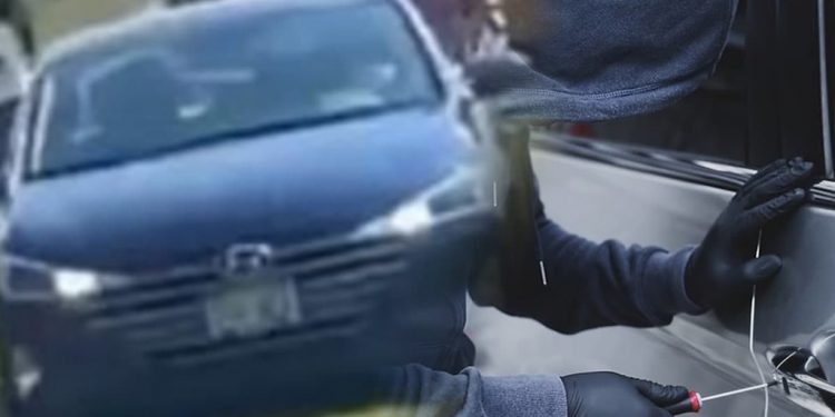 앨라배마서 ‘기아 챌린지’ 재점화…5일 동안 기아 차량 3대 도난