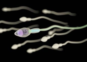 ‘암 위험 90%’ 유전자 가진 정자 기증자, 유럽서 197명 출산