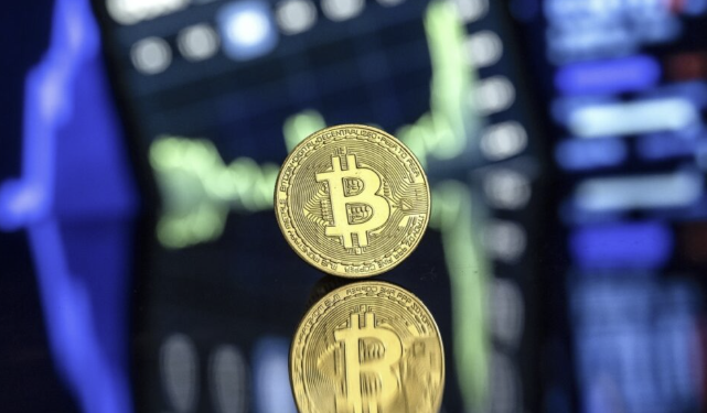 트럼프 일가 비트코인 기업 주가 40% 폭락