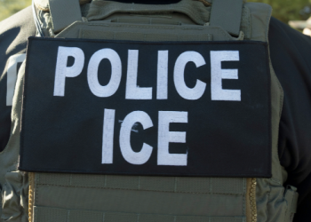 트럼프 행정부, 앨라바마 ICE–ALEA 합동 단속 극찬…“불법 운전자 퇴출로 미국 도로를 더 안전하게!”