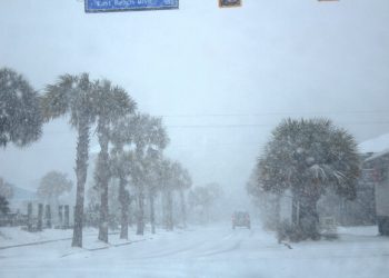 앨라배마 해안가에 다시 눈 예보…역사적 폭설 1년 만의 재현 여부 주목