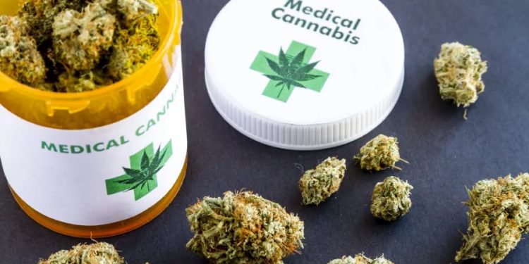 의사들 드디어 신청 가능…앨라배마 의료용 대마 ‘본격 가동’