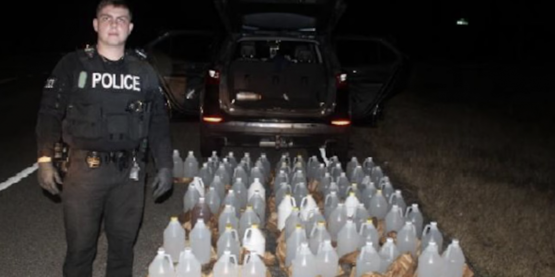 교통단속에 들통…차 안에서 밀주 81갤런 쏟아졌다