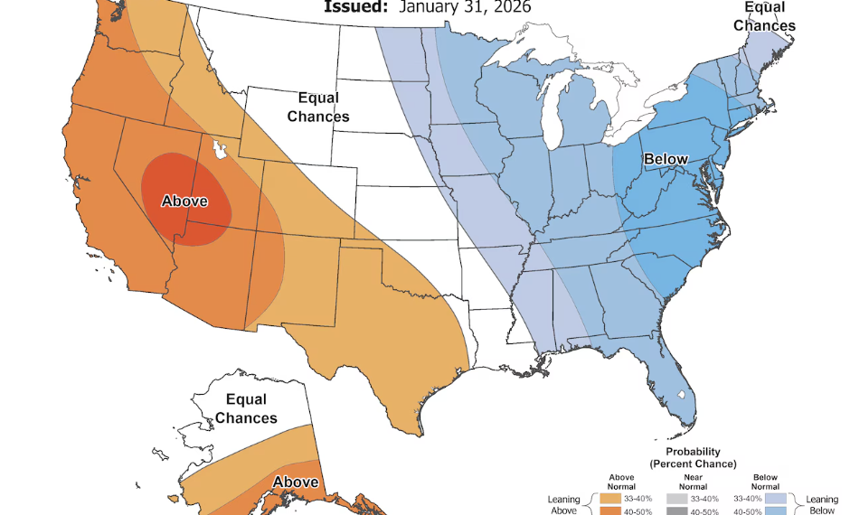 2월 앨라배마 날씨, 눈 오나? 갑자기 따뜻해지나?