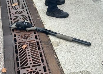 산탄총 들고 美의사당 돌진…18세 남성 체포