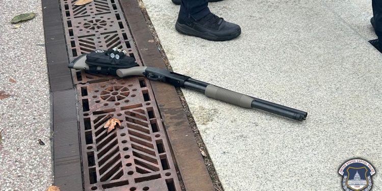 산탄총 들고 美의사당 돌진…18세 남성 체포