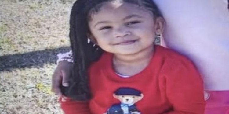 “몇 주째 못 봤다”…실종 2세 소녀 엄마, 허위 신고로 체포