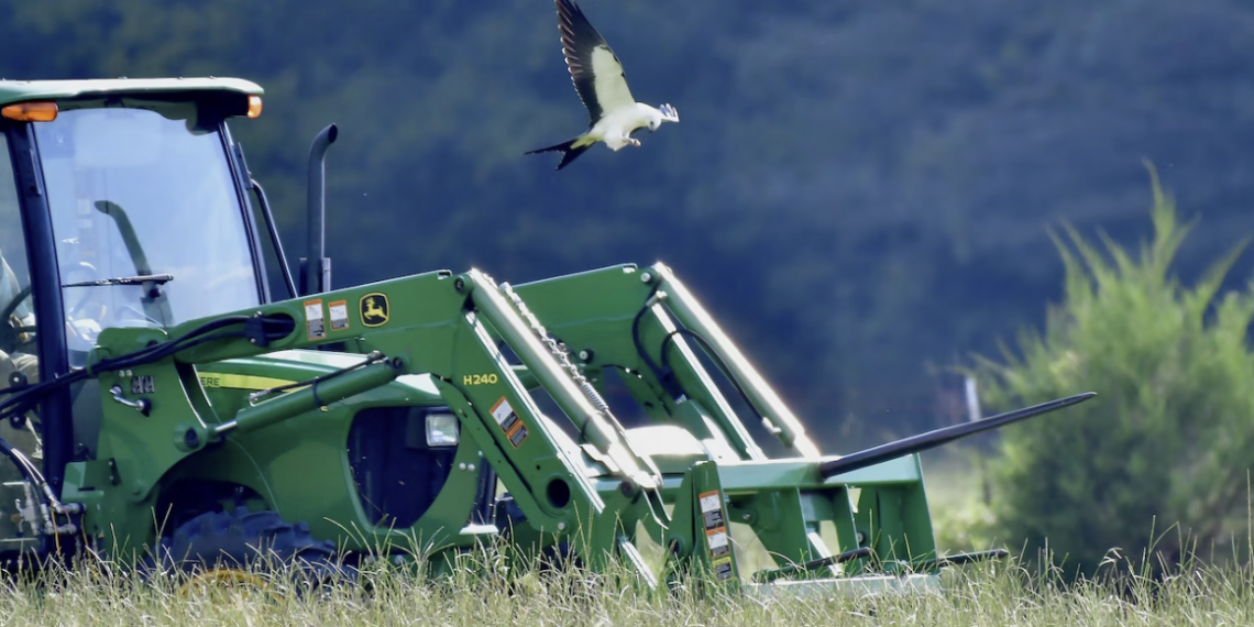 앨라배마 초원 90% 사라졌다…80만 달러 들여 ‘씨앗부터’ 복원 나선다