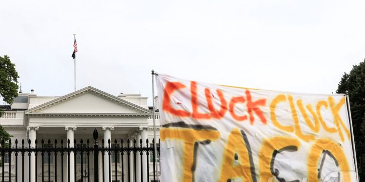 “트럼프 한마디에 롤러코스터”…월가 ‘타코 트레이드’ 다시 등장