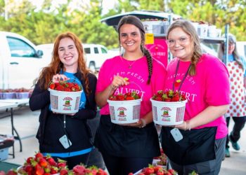 앨라배마 컬먼서 제87회 딸기 축제 개최…4월 24~25일 이틀간 진행