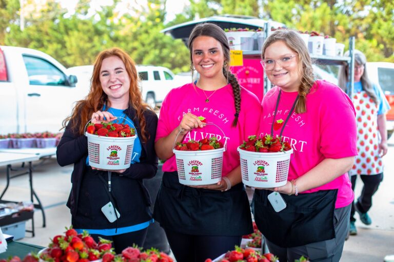 앨라배마 컬먼서 제87회 딸기 축제 개최…4월 24~25일 이틀간 진행