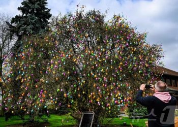 “달걀 찾다 참변”…부활절 행사 덮친 ‘30m 나무’