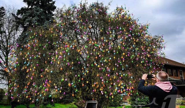 “달걀 찾다 참변”…부활절 행사 덮친 ‘30m 나무’