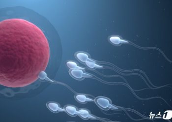 “성욕은 그대로”…부작용 없는 남성 피임약 ‘청신호’