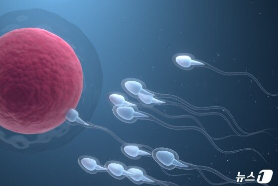 “성욕은 그대로”…부작용 없는 남성 피임약 ‘청신호’