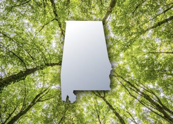 헌츠빌 연구소 문 닫는다…미국 산림청 구조조정 직격탄