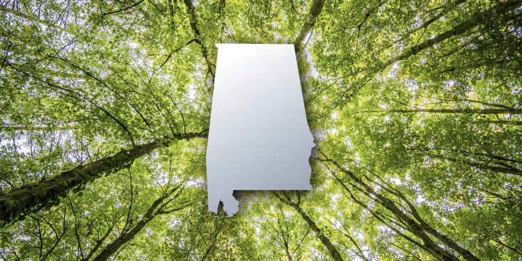 헌츠빌 연구소 문 닫는다…미국 산림청 구조조정 직격탄