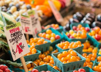 “이번 주말부터 열린다”…헌츠빌 인기 파머스마켓 시즌 개막