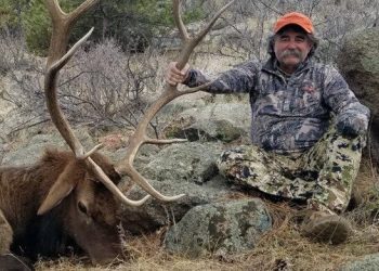 “코끼리 앞에선 돈도 소용없다”…美 백만장자, 사냥 중 참변