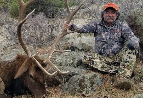 “코끼리 앞에선 돈도 소용없다”…美 백만장자, 사냥 중 참변