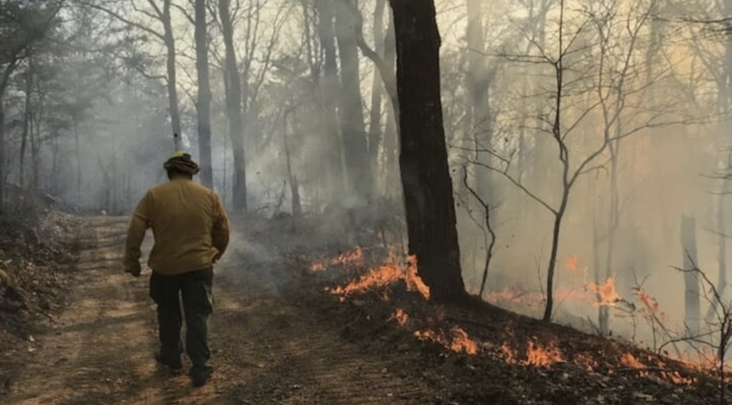 “불 피우지 마라”…앨라배마 전역 ‘산불 비상령’
