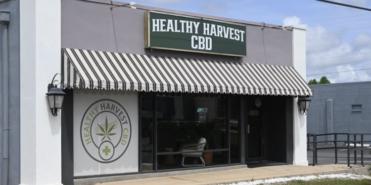 “문 닫고 돈만 날린다”…앨라배마 대마 매장 줄폐업