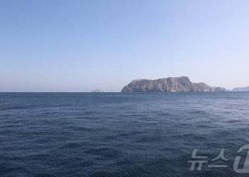 “군함 호위 없다”…트럼프 ‘호르무즈 탈출 작전’ 실체 공개