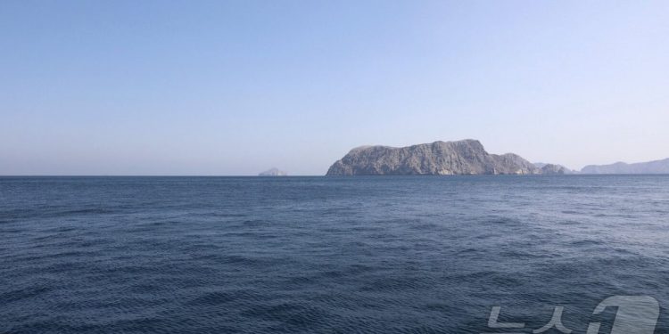 “군함 호위 없다”…트럼프 ‘호르무즈 탈출 작전’ 실체 공개