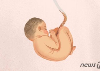 만삭 상태로 마약 재판 출석한 美 여성…법정서 출산