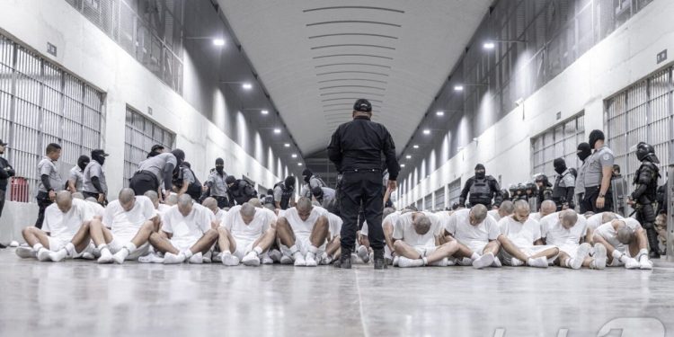 “트럼프 눈치 봤나”…CBS, 이민자 추방 보도 기자 ‘60분’서 사실상 퇴출 논란