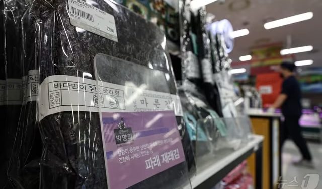 ‘검은 반도체’ 김, 세계 표준 등재 눈앞…국제 규격 중간 심의 통과