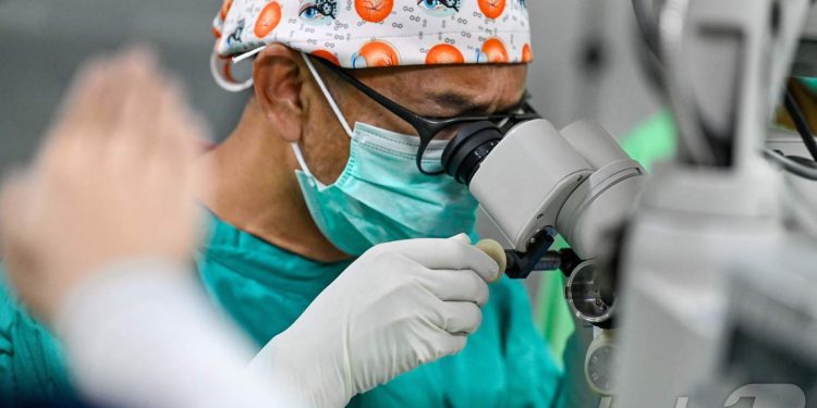 AI가 실시간으로 ‘두 번째 눈’ 역할…英서 세계 첫 AI 보조 뇌종양 수술 성공